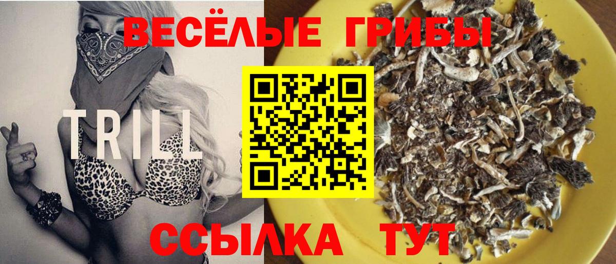 Карпинск  Псилоцибиновые грибы мухоморы  Вход с VPN  Галлюциногенные грибы Psilocybe 